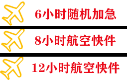 三家子空运公司快递公司,专业空运当天件